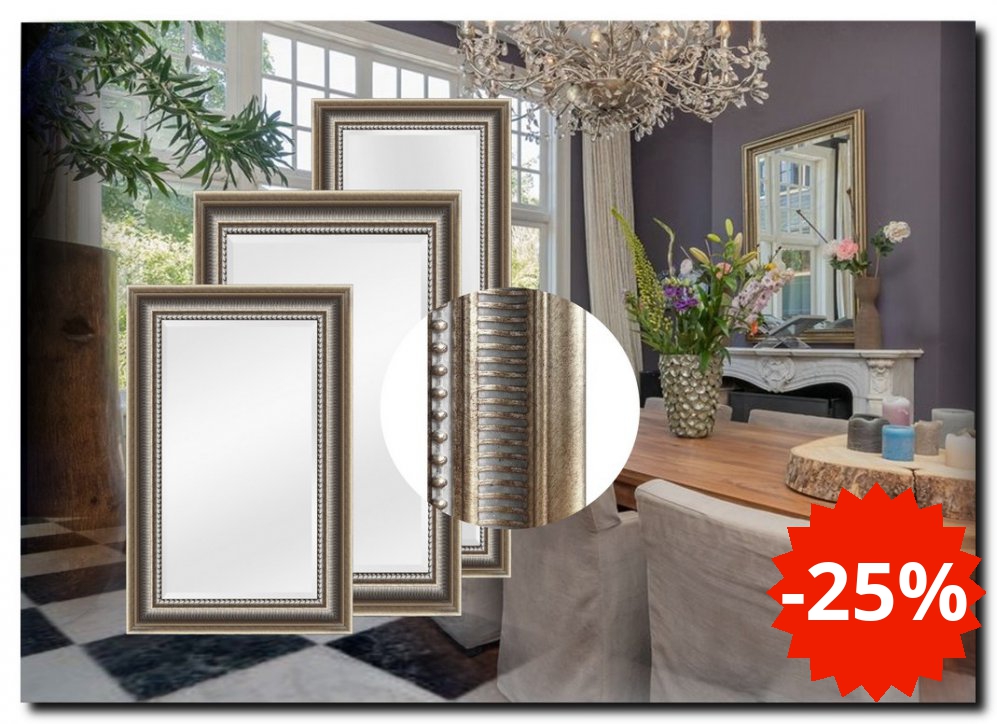 00aaM1036as Mirror Cesarino Antiquesilver