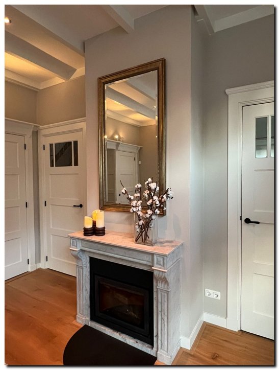 00aaM2303-2as Mirror Nino Antiquesilver