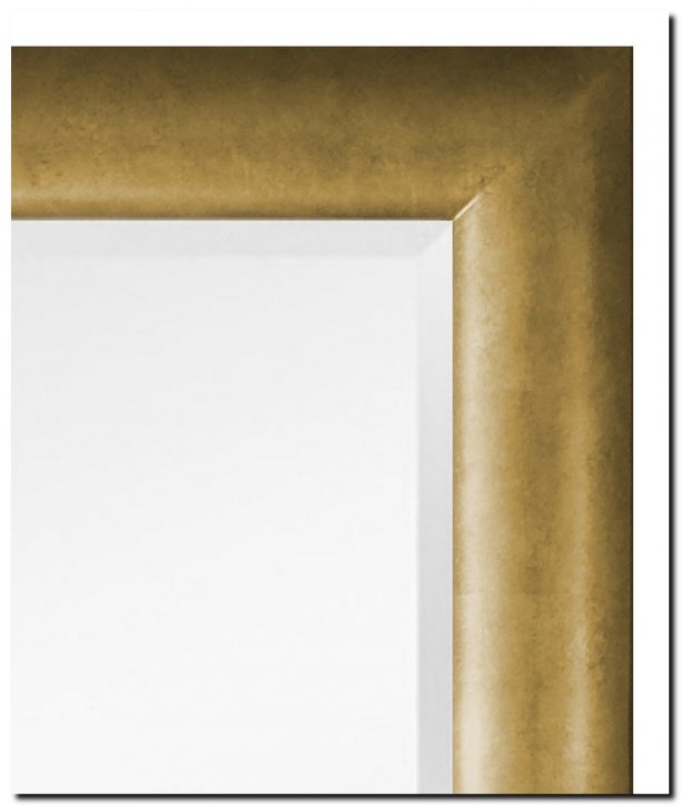 9.2509ag Mirror Enzo Antiquegold