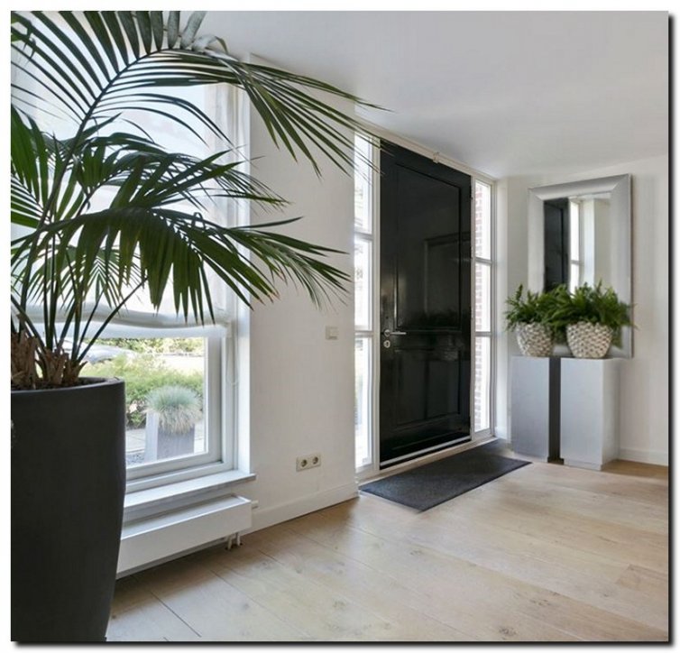 9.2509hs Mirror Enzo Bright Silver