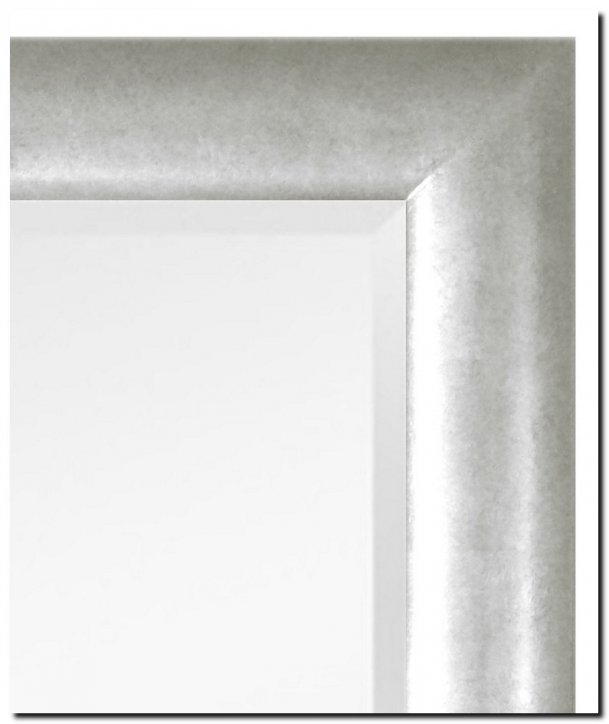 9.2509s Mirror Enzo Silver