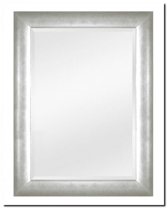 9.2509s Mirror Enzo Silver