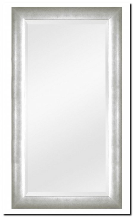 9.2509s Mirror Enzo Silver