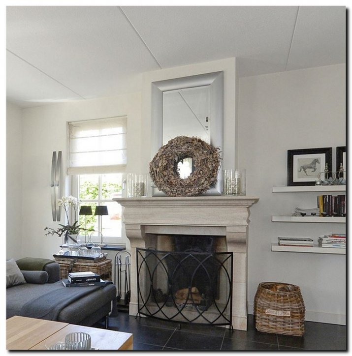 9.2509s Mirror Enzo Silver