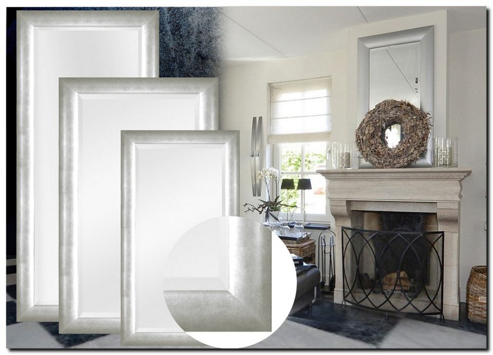 9.2509s Mirror Enzo Silver