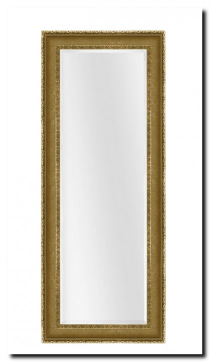 9.2531ag Mirror Leonardo Antiquegold