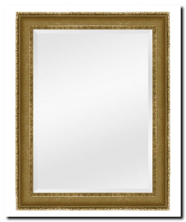 9.2531ag Mirror Leonardo Antiquegold