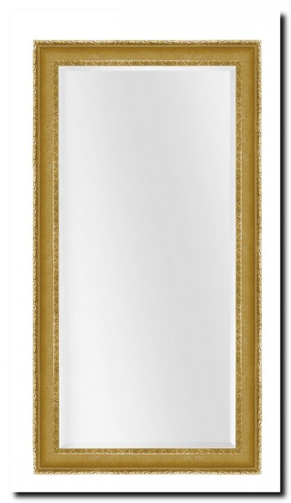 9.2531g Mirror Leonardo Gold