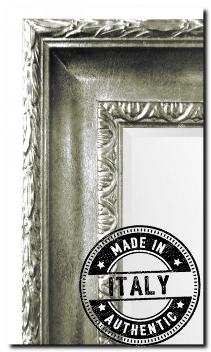 9.2531s Mirror Leonardo Silver