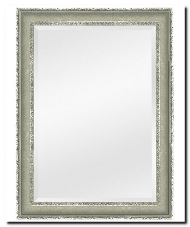 9.2531s Mirror Leonardo Silver