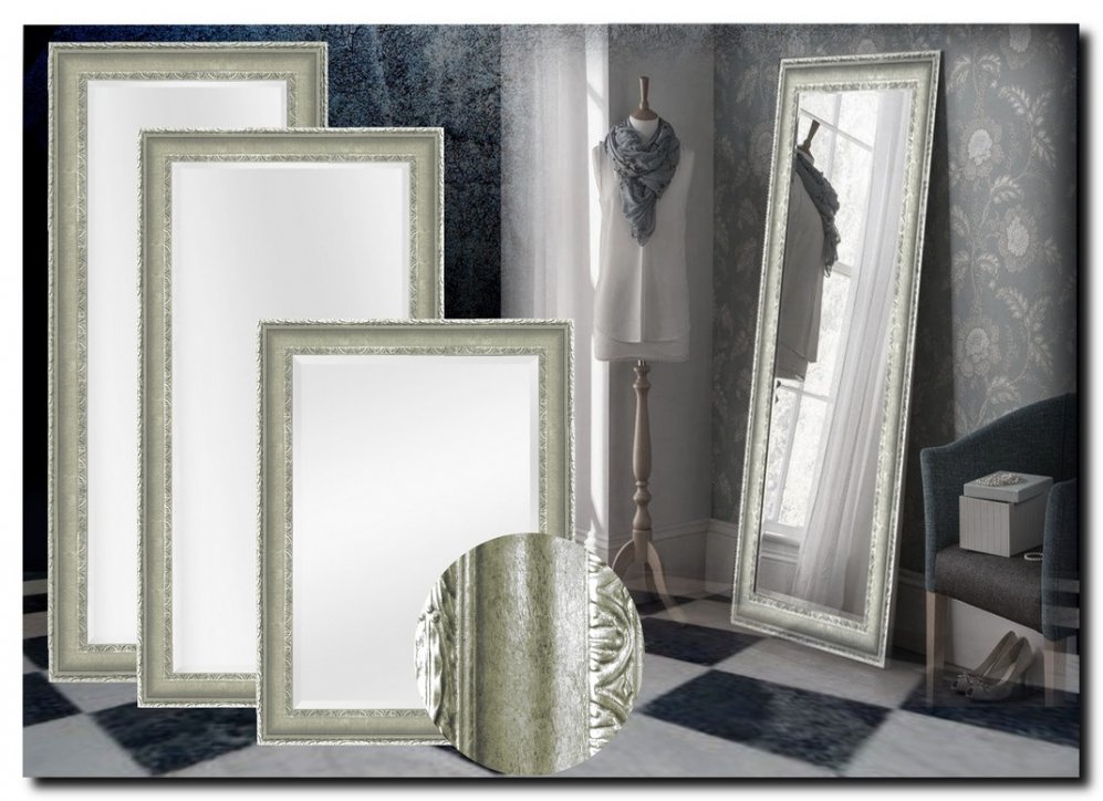 9.2531s Mirror Leonardo Silver