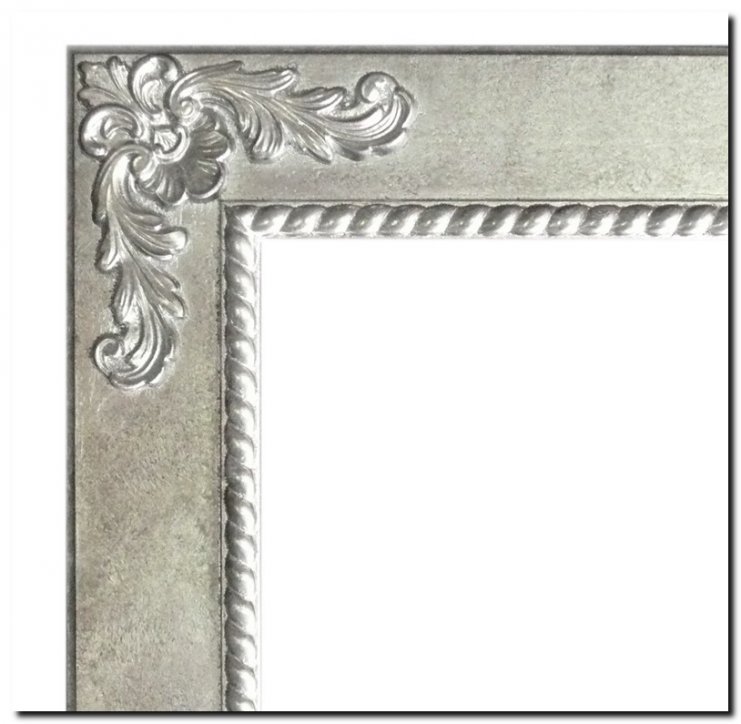 9.2594F60051s Mirror Raul Silver