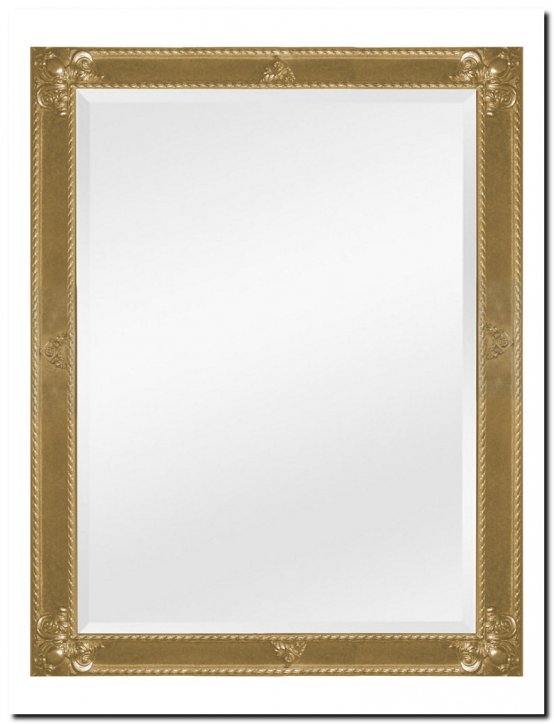 9.2596F60055+F0057 Mirror Guido