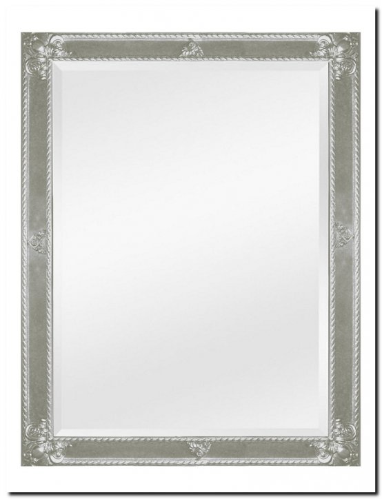 9.2596F60055+F0057as Mirror Guido Antiquesilver