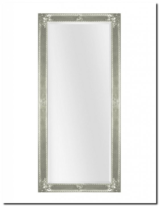 9.2596F60055+F0057s Mirror Guido Silver