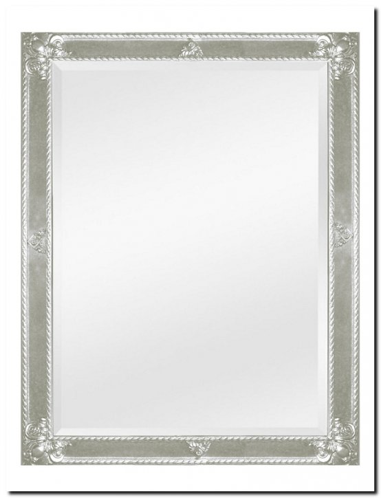 9.2596F60055+F0057s Mirror Guido Silver