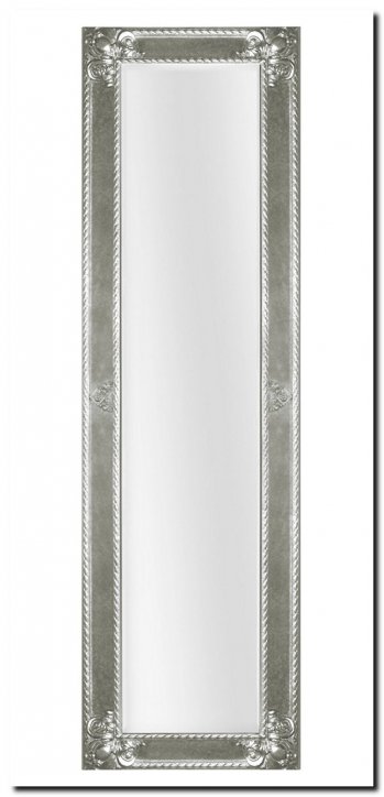 9.2596F60055+F0057s Mirror Guido Silver