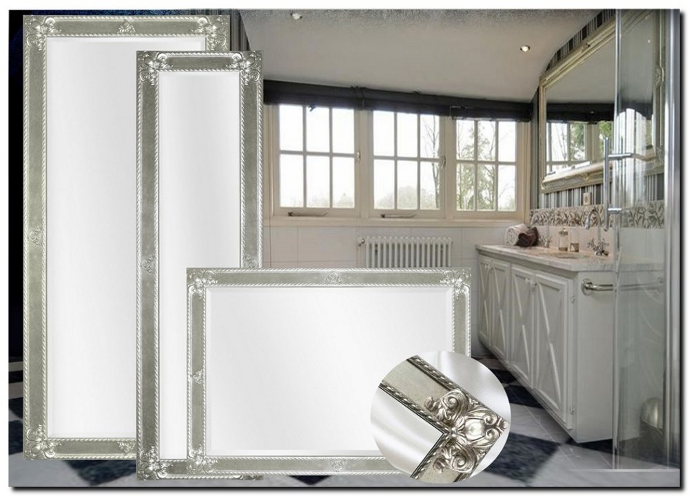 9.2596F60055+F0057s Mirror Guido Silver