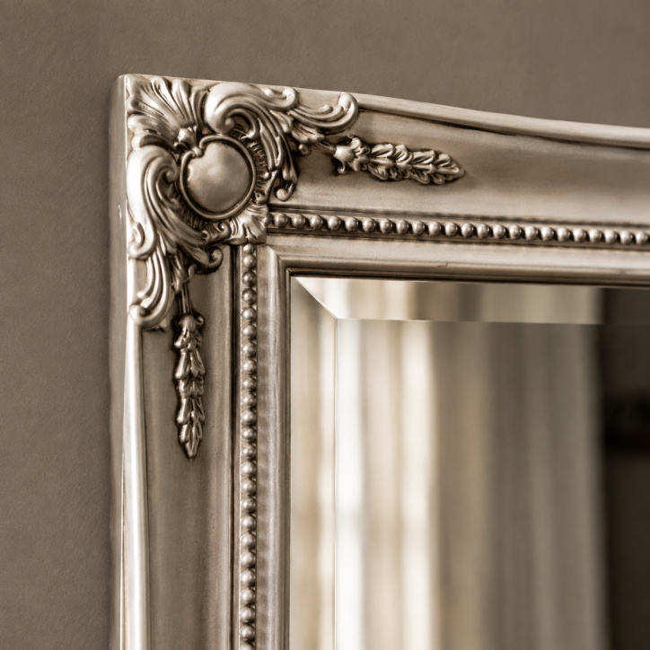 aAC816S Mirror Denzel Silver Sale!