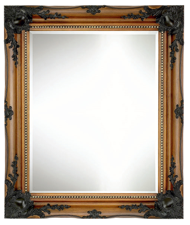 zAC819 Mirror Roy