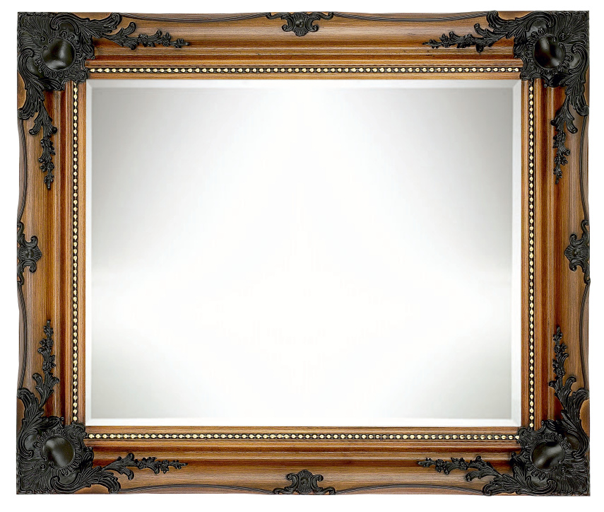zAC819 Mirror Roy