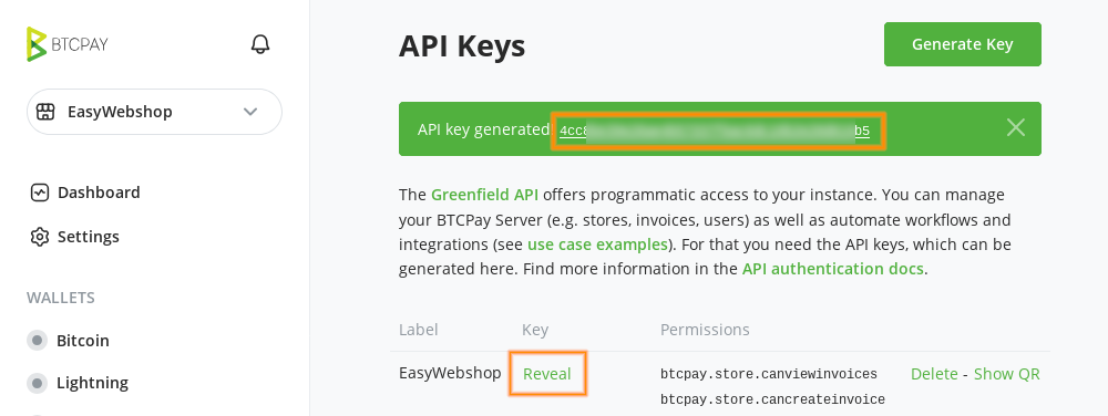 btcpay-server-copy-api-key
