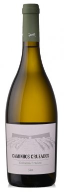 MGCZ06 Caminhos Cruzados Colheita 2023 White