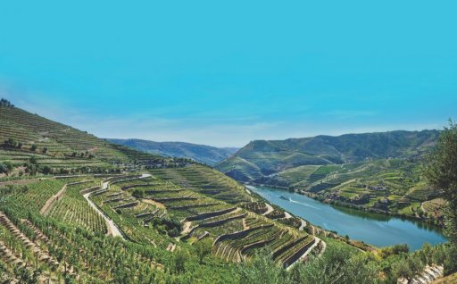 PROEF002 A Taste of Douro