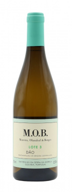 TCMOB0423 M.O.B. White 2023 Lote 3
