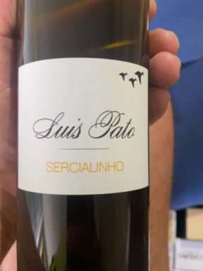 TFLP16 Luis Pato Branco Sercialinho 2020 Branco