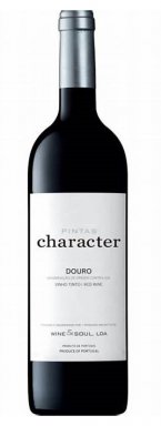 TPWS0321 Pintas Character 2021