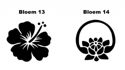 Bloemen Flowers