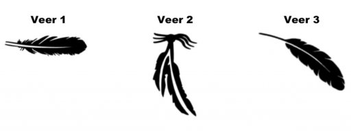 Veren Feathers