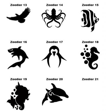 Zeedieren Sea animals