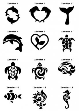 Zeedieren Sea animals