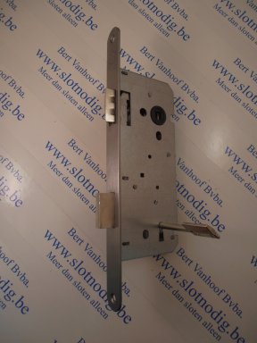 108093608 Litto A135327 50