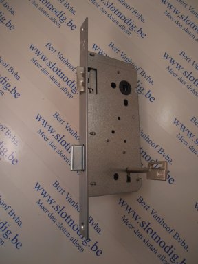 108103698 Litto A135311 55