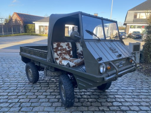 8500 - Haflinger Haflinger Swiss military